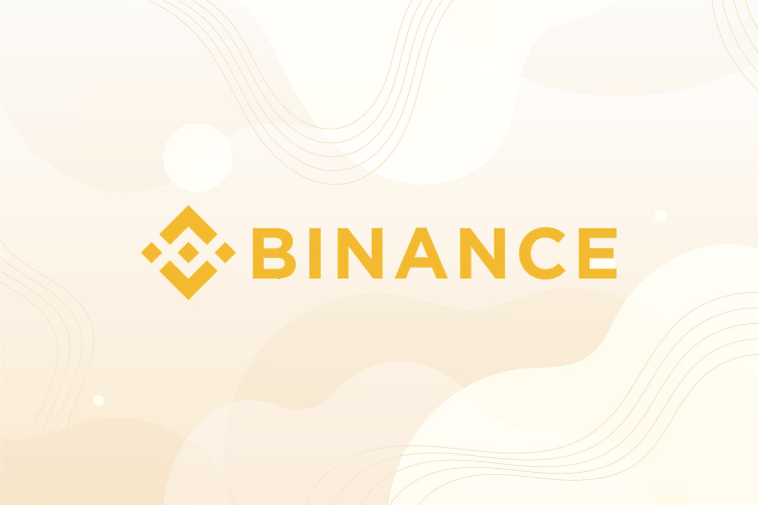 Binance Logo