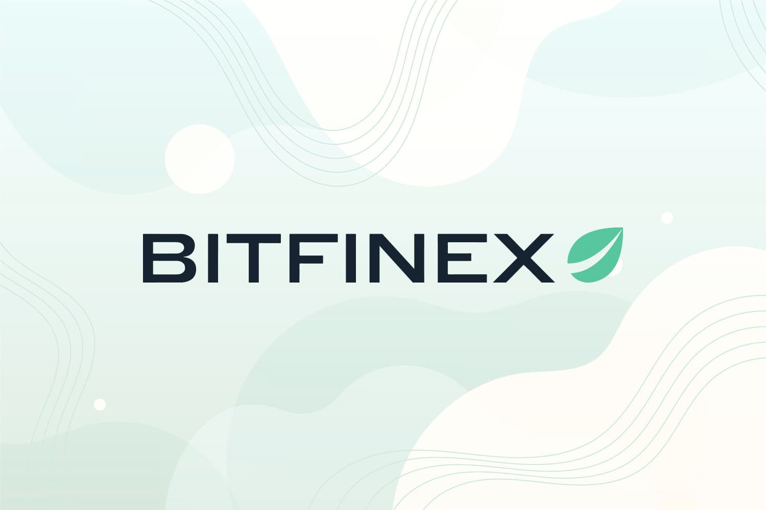 Bitfinex Logo